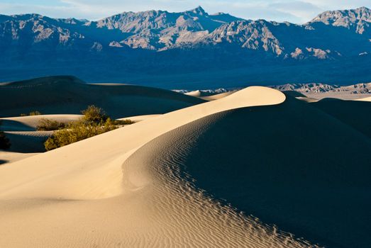 Curve dunes at Stovepipe Wells in Mesquite Valley
