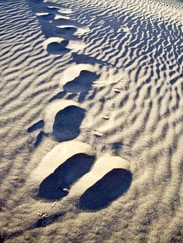 Footsteps in the sand dunes at Death Valley