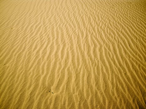 Glowing sand ripples at Death Valley