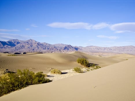 Scenic view of Mesquite Flats in Death Valley