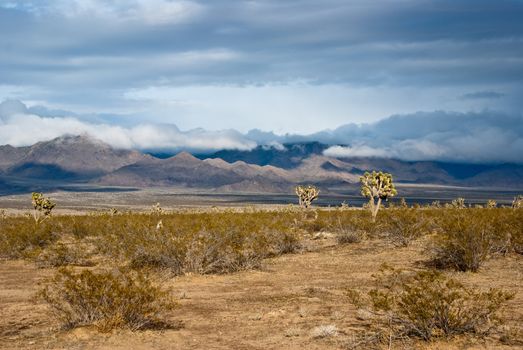 Winter storm over desert landscape