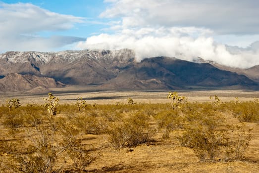 Winter storm over desert landscape