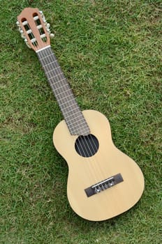 Acoustic "Guitar LeLe" on green grass