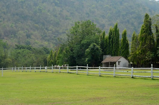 View of the yard and a white wooden fence  the mountain behind