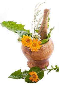 Mortar with herbs and marigolds over white