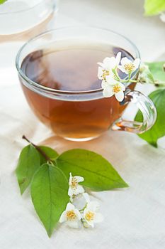 Cup of green tea with jasmine over light back