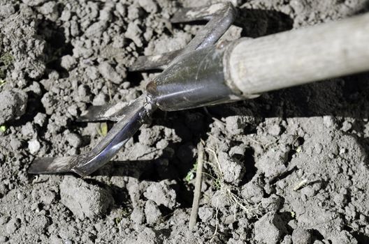 a fork for digging in the garden