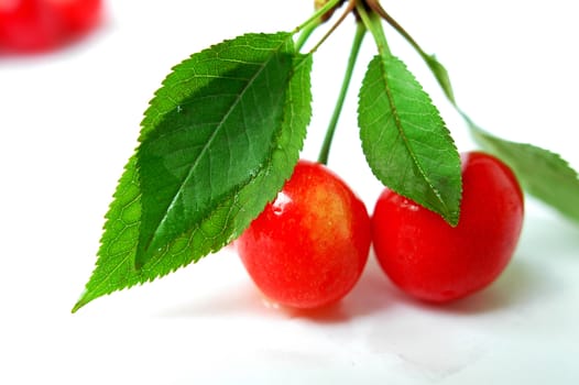 Red cherry fruits on a white background,with green leaves