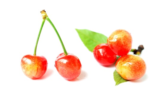 Red cherry fruits on a white background