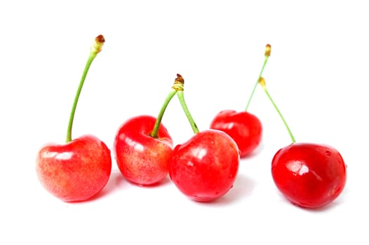 Red cherry fruits on a white background