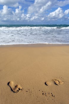 foot on the beach