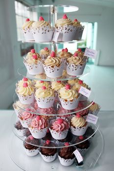 Elegant delicious cupcakes exposed in a confectionery shop, closeup