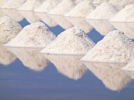 Heap of sea salt in a field prepared for harvest 