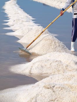 Farmer raking in the salt field in Thailand