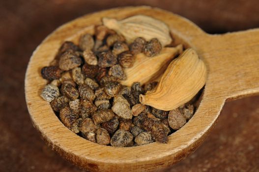 Macro shot of wooden spoon with cardamom seeds