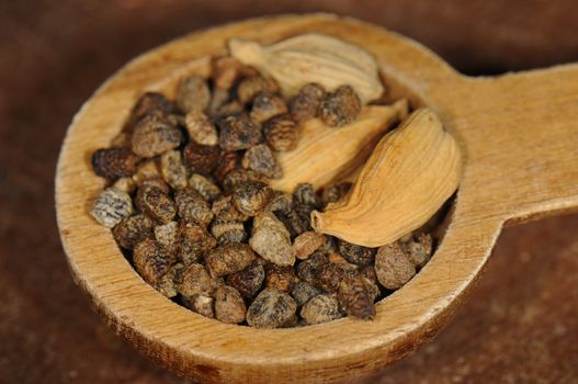 Macro shot of wooden spoon with cardamom seeds