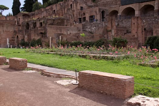 The garden of the Vestal Virgins, in the Roman Forum, in Rome, Italy.