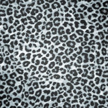 BW Leopard skin background or texture. Large resolution