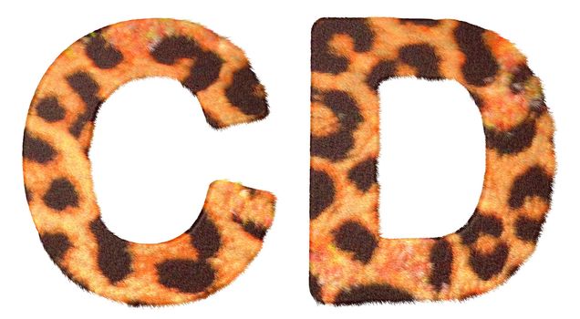Leopard fur C and D letters isolated over white background