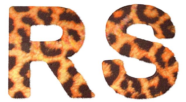 Leopard fur R and S letters isolated over white background