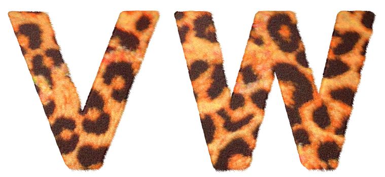 Leopard fur V and W letters isolated over white background