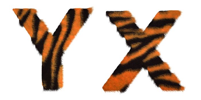 Tiger fell X and Y letters isolated over white background