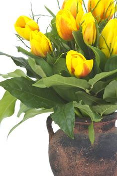 Beautiful yellow tulips in a vase on a white background 