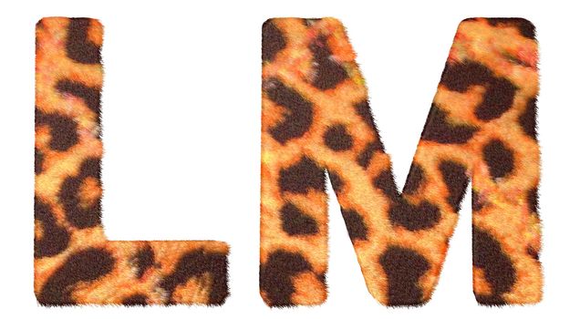 Leopard fur L and M letters isolated over white background
