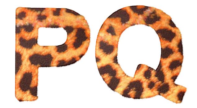 Leopard fur P and Q letters isolated over white background