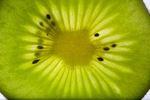 Close-up of a kiwi fruit