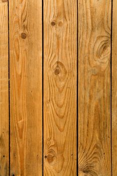 Light wood texture 