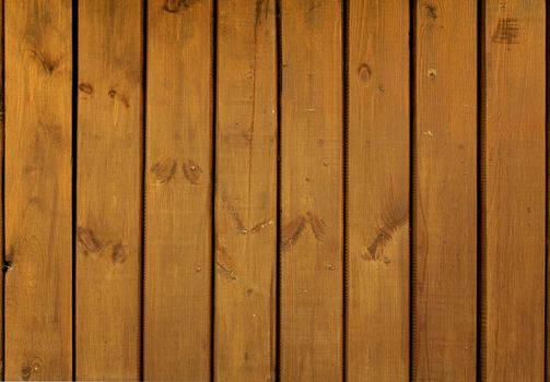 Close-up of light wood texture, natural light 