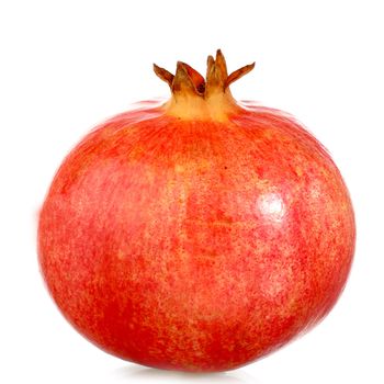 pomegranate macro close up on white background