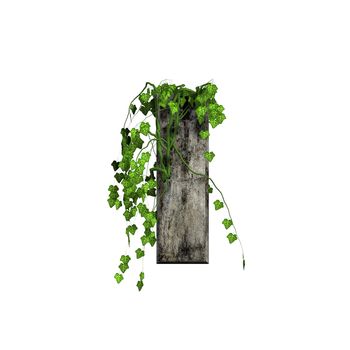 green ivy on 3d stone letter - i