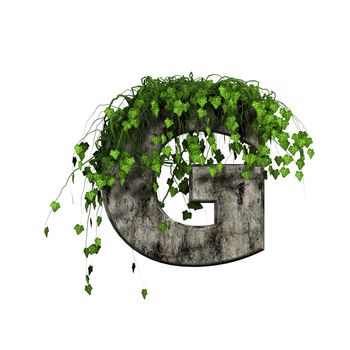green ivy on 3d stone letter - g