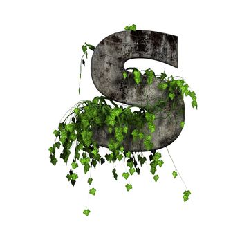 green ivy on 3d stone letter - s