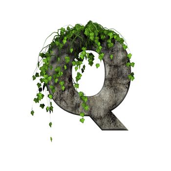 green ivy on 3d stone letter - q
