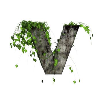 green ivy on 3d stone letter - v