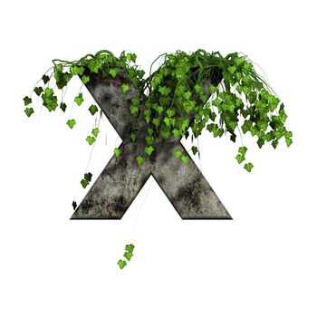 green ivy on 3d stone letter - x
