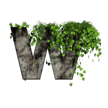 green ivy on 3d stone letter - w