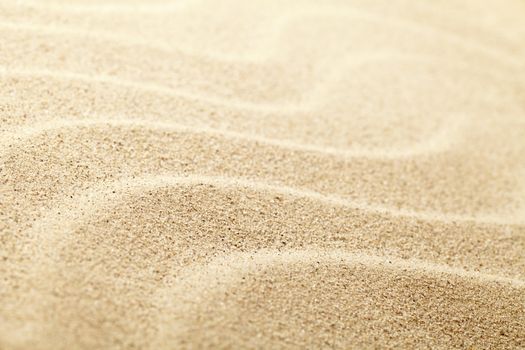 Sandy beach background for summer. Sand texture. Macro shot. Copy space