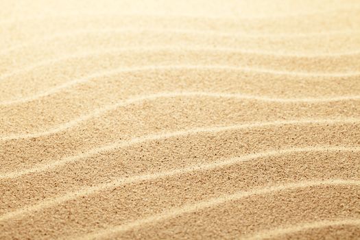 Sand background. Sunny beach close up view