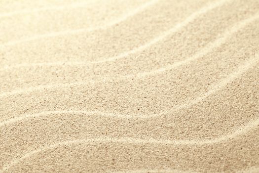 Sand background. Summer beach close up view