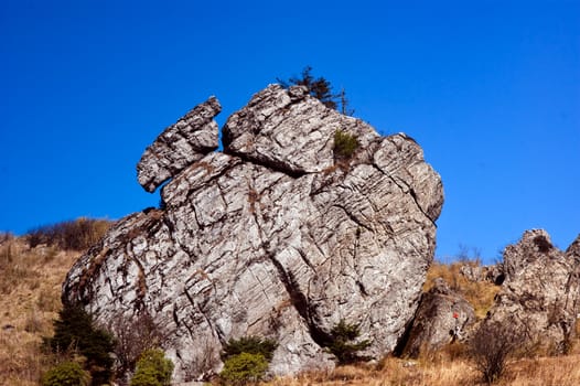 hennongjia beauty - was taken in Hubei, China