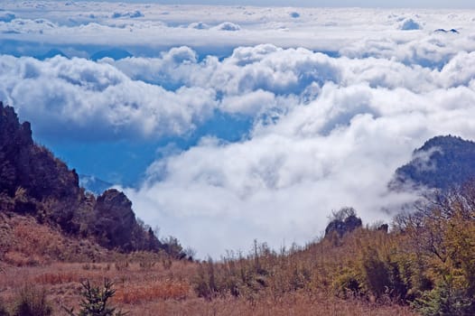 Shennongjia beauty - was taken in Hubei, China