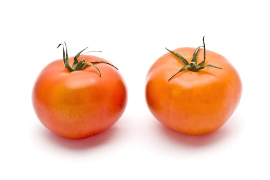 Fresh tomato isolated on white background. 
