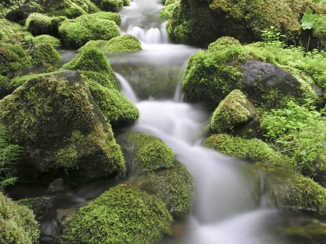 Flowing water of mountain stream 