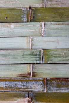 bamboo wall texture , closes – up