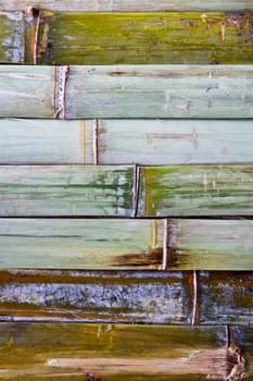 bamboo wall texture , closes – up
