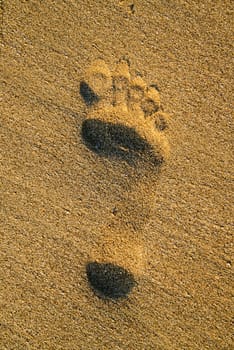 A footprint in the sand.